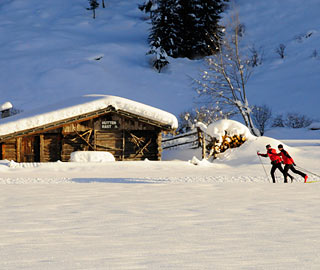 Cross-country skiing