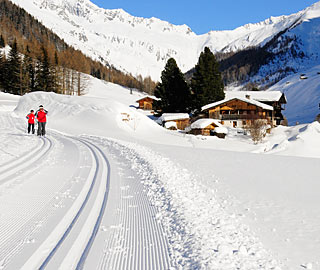 Cross-country skiing