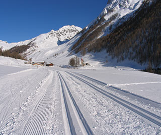 Cross-country ski-tracks
