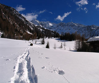 Spuren im Schnee