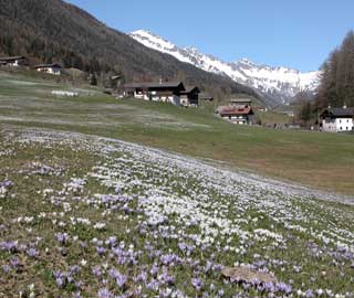 Frühling