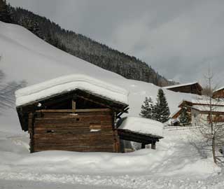 Winter landscape